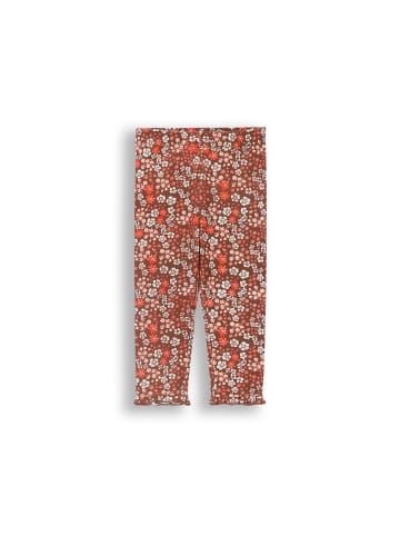 Coccodrillo Leggings mit langem Hosenbein in bunt
