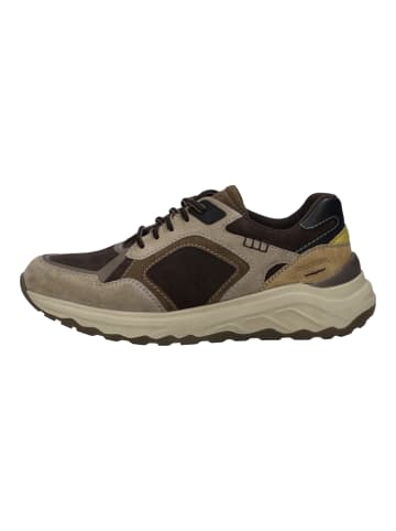 Josef Seibel Sneaker Davie 03 in braun
