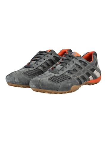 Geox Sneaker in Grau