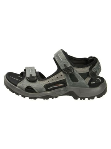 Ecco Sportliche Sandalen für Herren in blau
