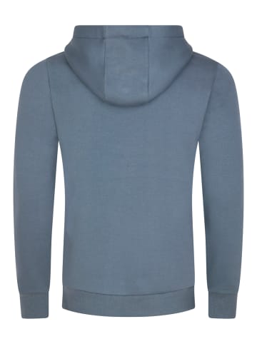 DENIMFY Pullover DFArno in Blau