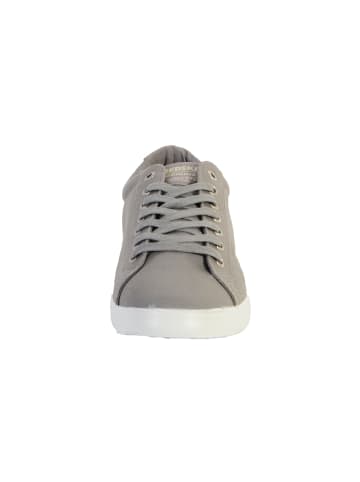 Redskins  Segar-Sneaker Grau