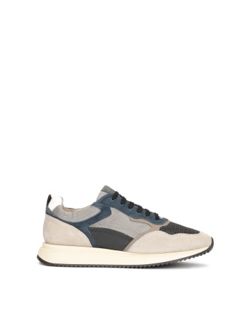 Kazar Sneaker Low in Grau