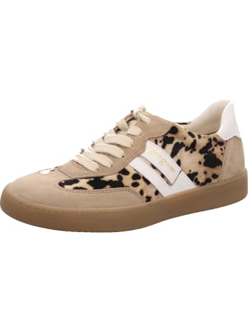 Paul Green Schnürschuh in beige