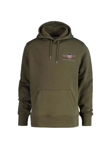 Gant Sweatshirt in Grün