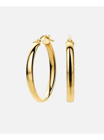 Vanlere Creolen aus 375 Gelbgold