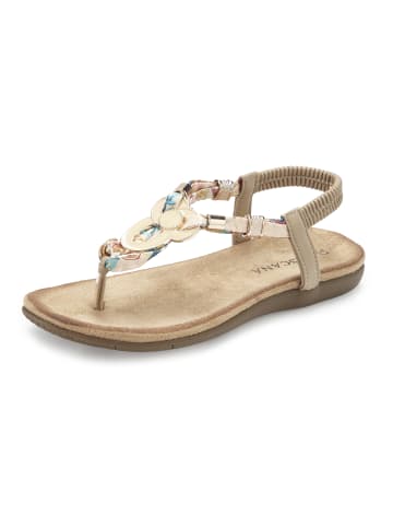 LASCANA Zehentrenner in beige