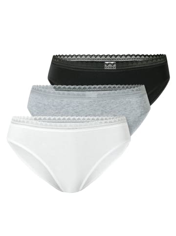 Schiesser 3er Pack Rio Slips Modern Multipacks in Mehrfarbig