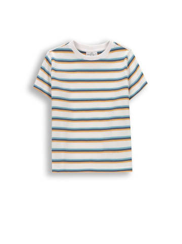 Coccodrillo T-shirt mit kurzen Ärmeln in bunt