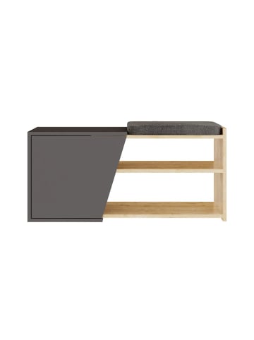 CALICOSY Schuhschrank FIONA in Anthrazitgrau - (W) 104 x (H) 37 x (L) 47 cm