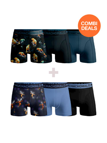 Muchachomalo 3er-Set: Boxershorts in Multicolor