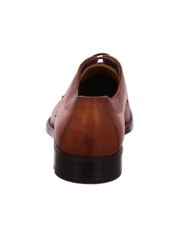 LLOYD Schnürschuh in braun