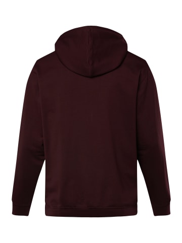 Men Plus Sweatjacke in dunkel weinrot
