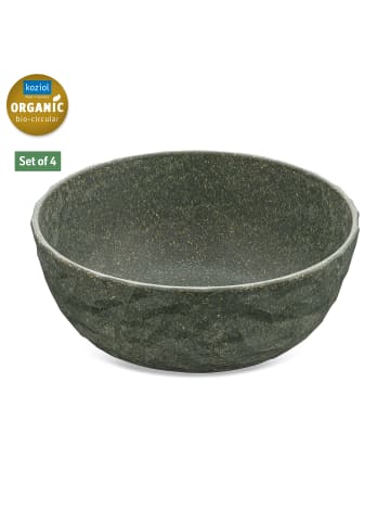 koziol CLUB BOWL - Schale 700ml in nature ash grey