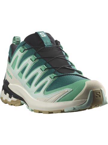 SALOMON Outdoorschuh XA PRO 3D V9 GORE-TEX in deep lake/electric green/vanilla ice