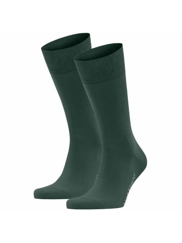 Falke Socken 2er Pack in Grün