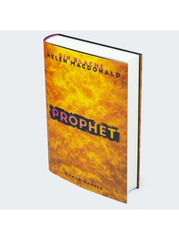 Carl Hanser Verlag Prophet