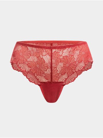 Erlich Textil  Slip CLASSY LACE HIPSTER in granatapfel