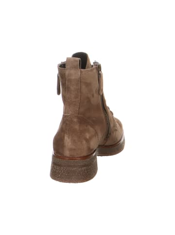 Paul Green Stiefeletten für Damen in taupe