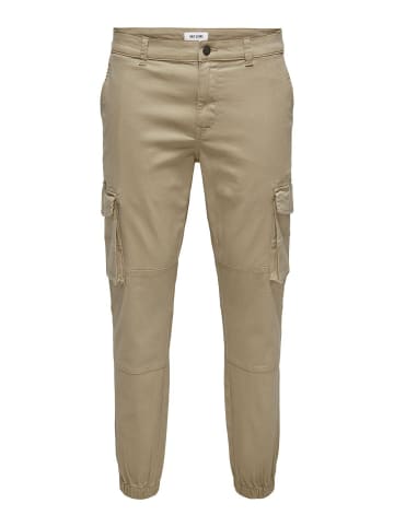 Cargo-Hose in Chinchilla 1