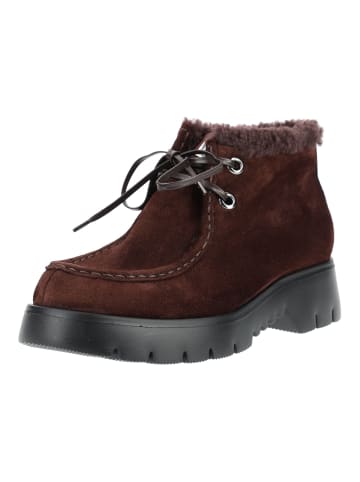 Högl Stiefelette 2-102435 Braun