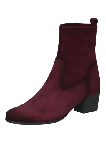 Caprice Stiefelette in Bordeaux