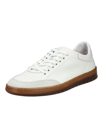 Pavement Sneaker in Weiß