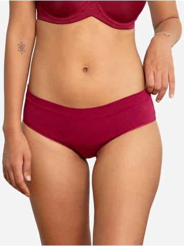 SugarShape Panty COTTONBASIC in bordeaux