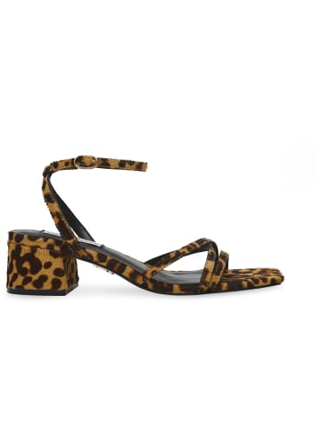 Steve Madden Sandalette in braun