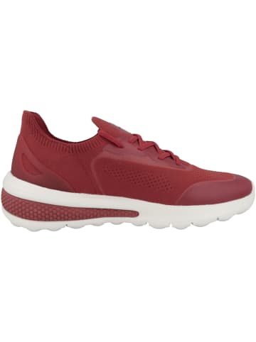 Geox Sneaker low D Spherica Actif A in rot