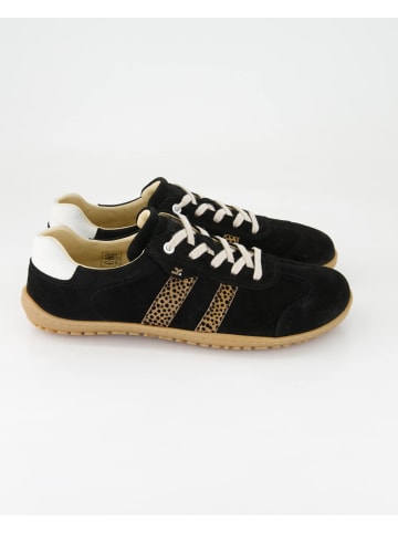 KOEL Sneaker low in Schwarz