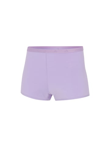 adidas Panty Sport Active Essentials Cotton in powder plum