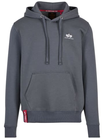 Alpha Industries Alpha Industries in greyblack