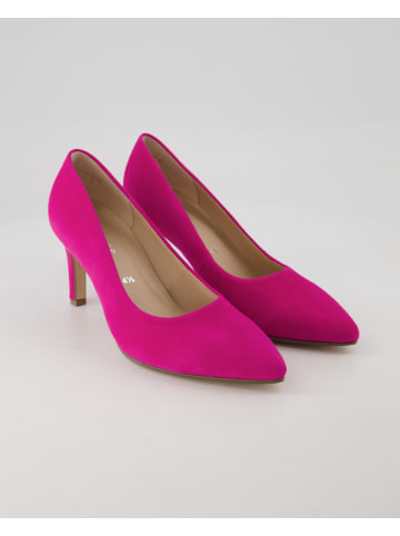 Gabor Klassische Pumps in Rosa