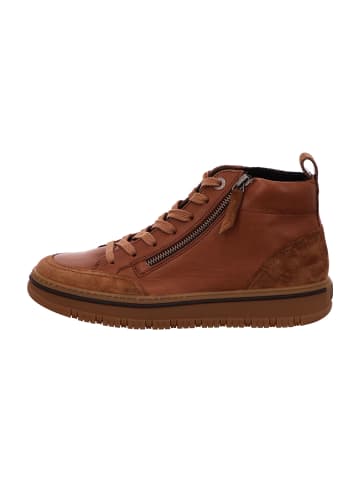 Paul Green Sneaker High in Braun