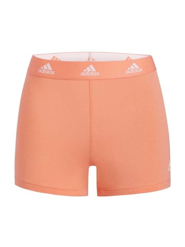 adidas Shorts Sport Active Comfort Cotton in Rosa