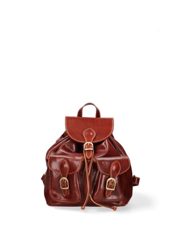 Viola Castellani Umhängetasche in BROWN