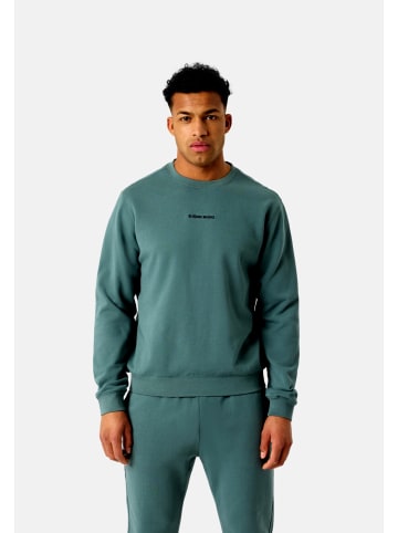 Björn Borg Sweatshirt in grün