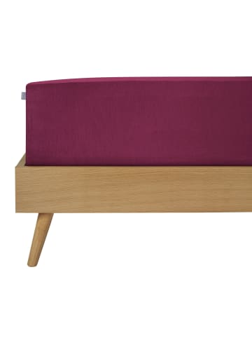 Schiesser Jersey-Elasthan-Spannbettlaken Flexi in Beere