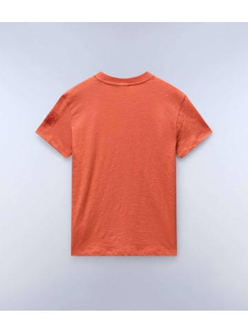 Napapijri T-Shirt "S-Eclair Ss" in Multicolor