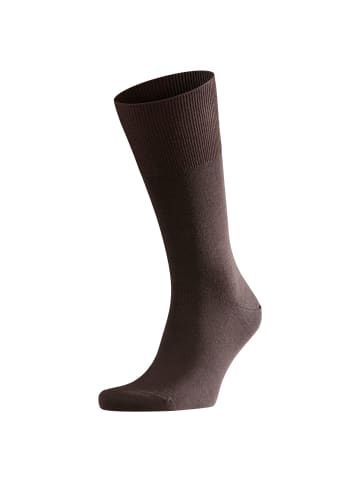Falke Socken 2er Pack in Brown (5930)