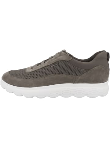 Geox Sneaker low U Spherica B in grau