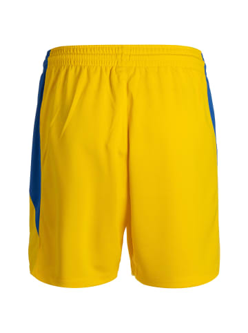 Nike Performance Trainingsshorts Team Basketball Stock in gelb / blau