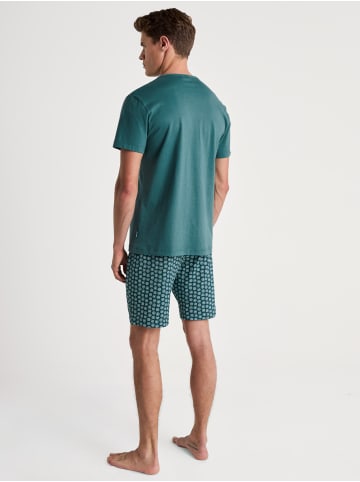 Calida Pyjama in philo green