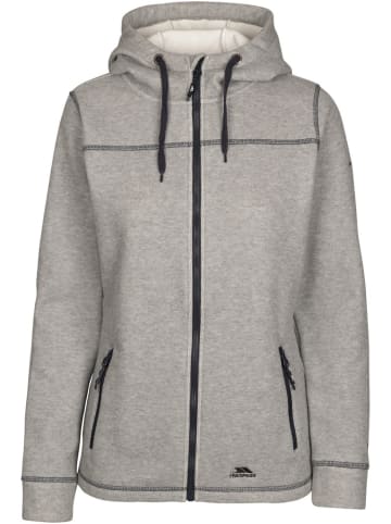 Trespass Fleecejacke/Fleecepullover "Runpal Fleece At400" in Grau
