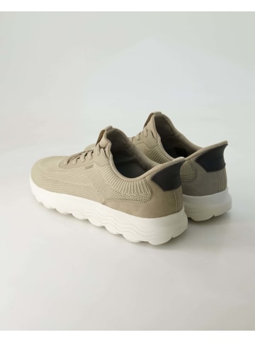 Geox Sneaker low in Beige