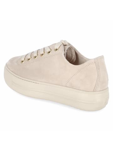 Paul Green Sneaker in beige