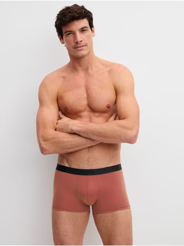 Calida New Boxer, 3er-Pack in marsala