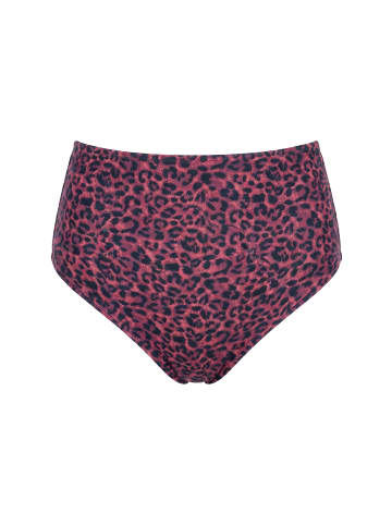 Studio Untold Bikini Slip in aubergine