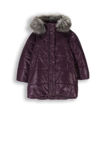 Coccodrillo Winterjacke in violett